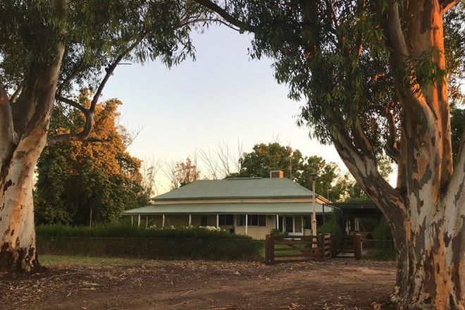 Picture of "Yaloke" 8257.9ac First time offered in 100 years, DENILIQUIN NSW 2710