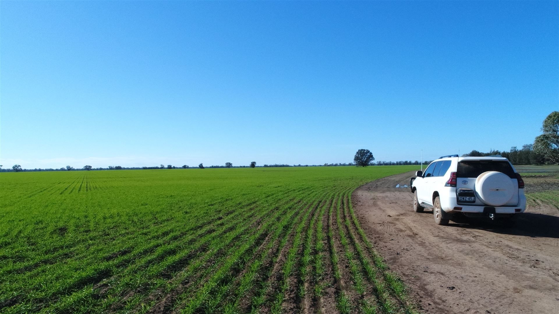 Narromine NSW 2821, Image 2