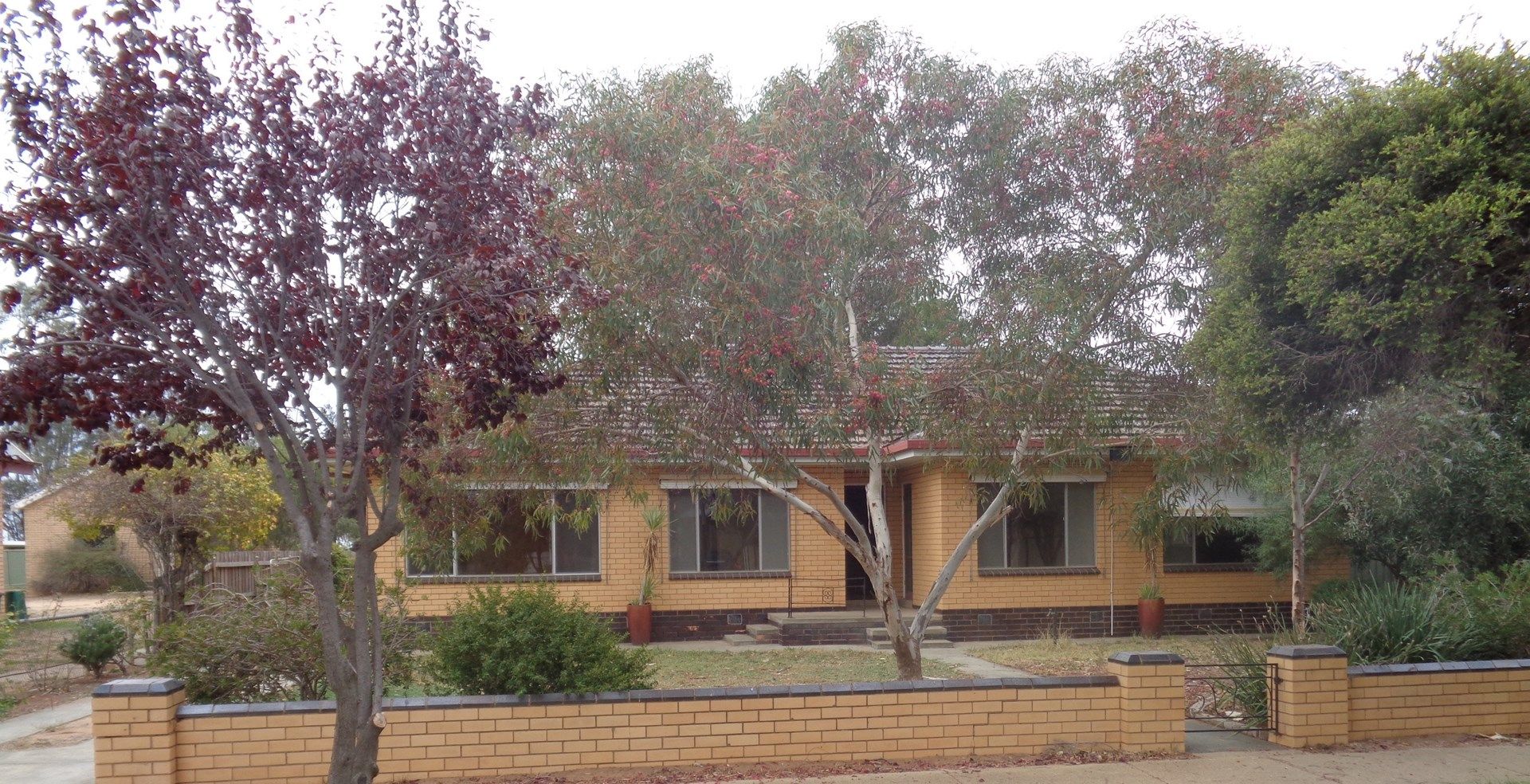 3 Wills St, Lockington VIC 3563, Image 0