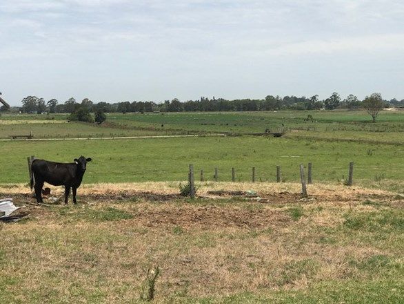 Lot 4/35 Ralstons Road, Nelsons Plains NSW 2324, Image 0
