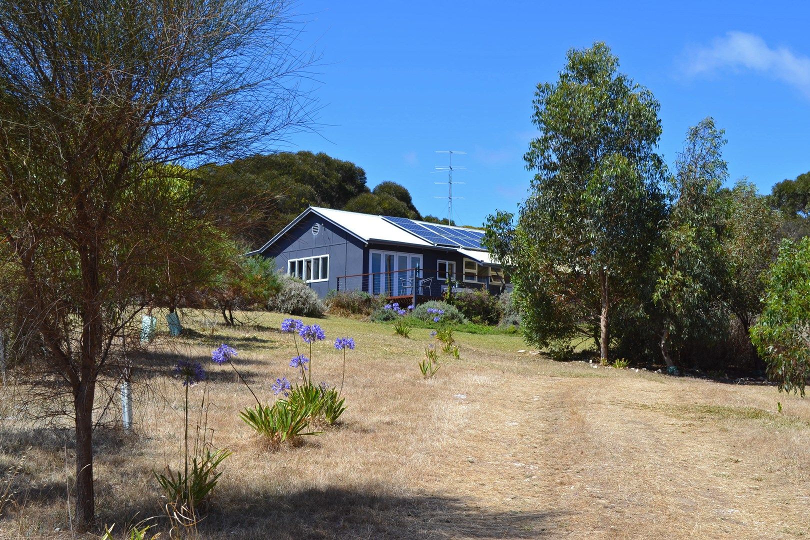 1870 WILLSON RIVER ROAD, Porky Flat SA 5222, Image 0