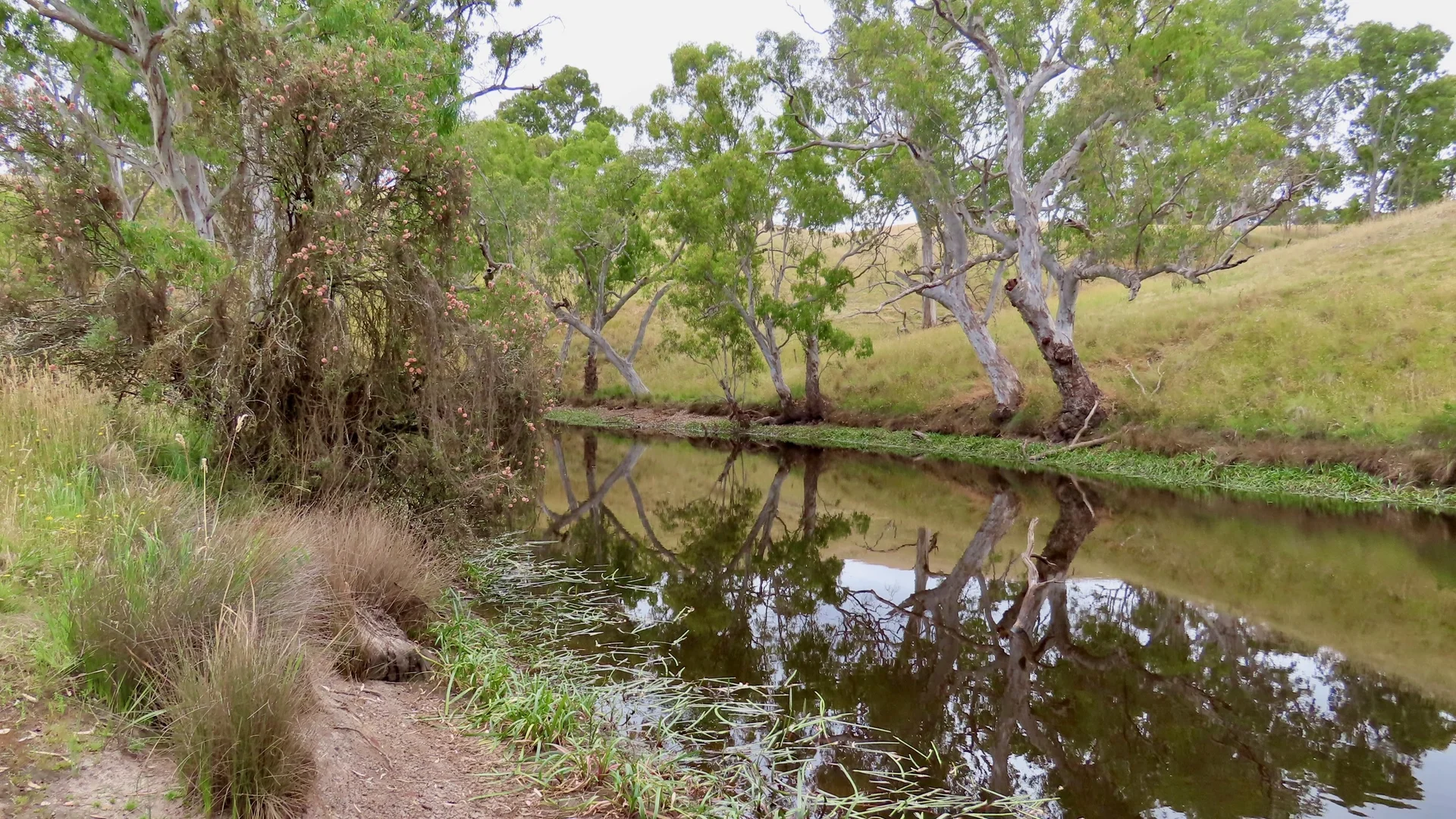 Additional image 35 of 596 Mostyn Lane, Balmoral VIC 3407