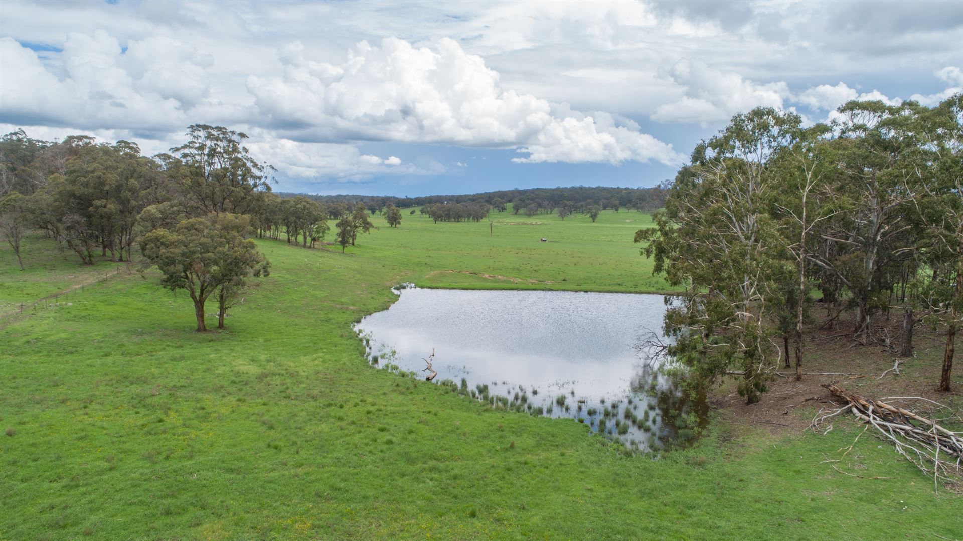 Walcha NSW 2354, Image 2