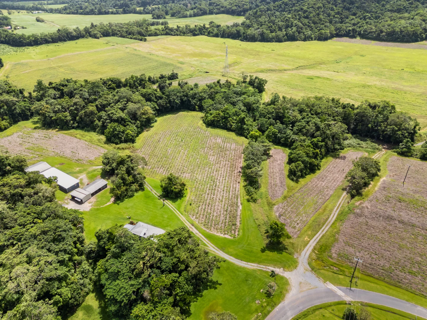 Additional image 17 of Cassowary Road, Cassowary QLD 4873