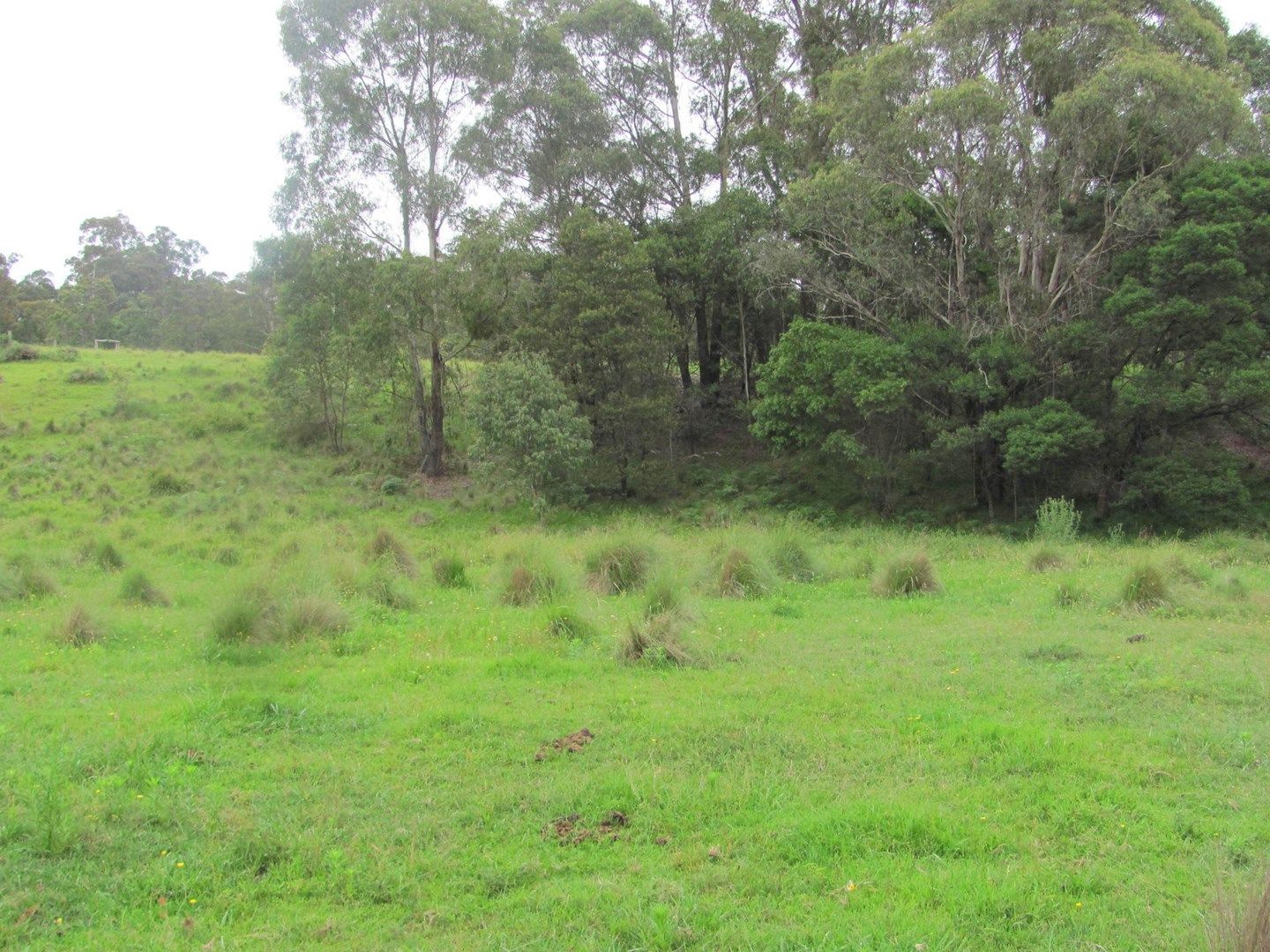 Lot 3, 375 Wamban Road, Moruya NSW 2537, Image 0