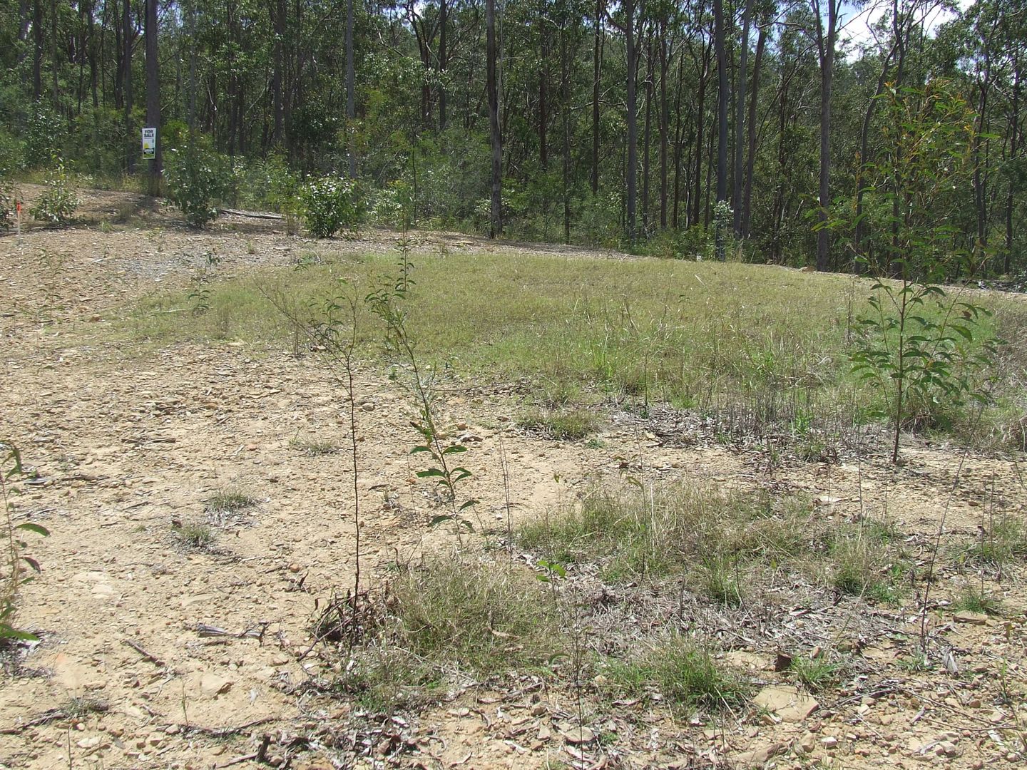 Mundoolun QLD 4285, Image 2