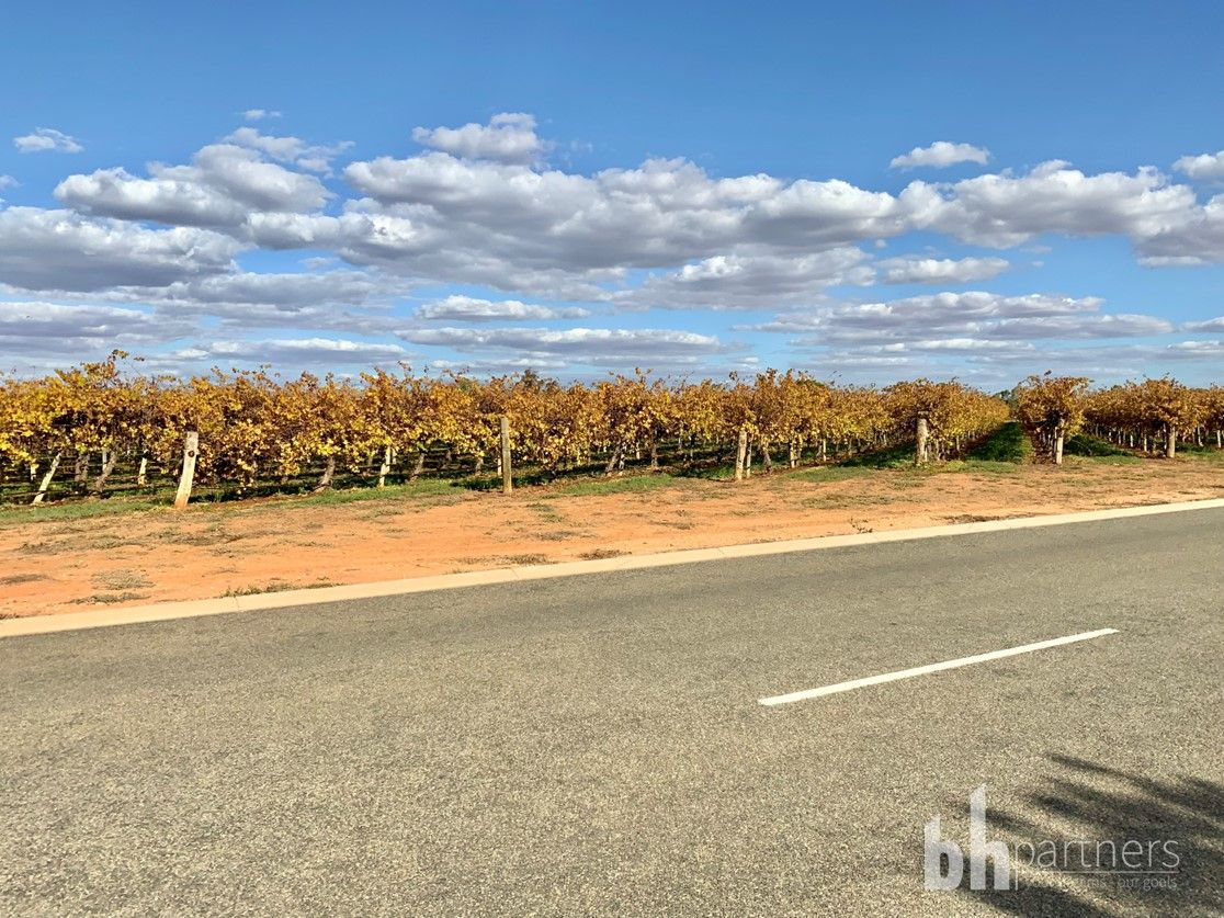 23 Brooke Street, Barmera SA 5345 House For Rent Domain