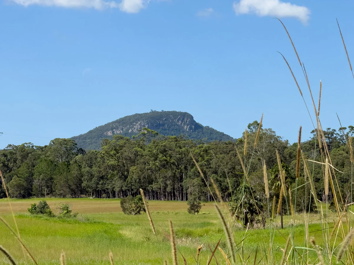 Yandina QLD 4561