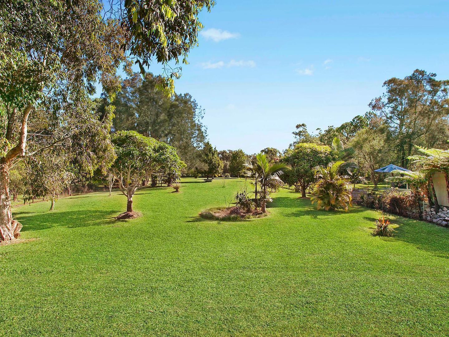 17 Daffodil Street, Tallebudgera Property History & Address Research