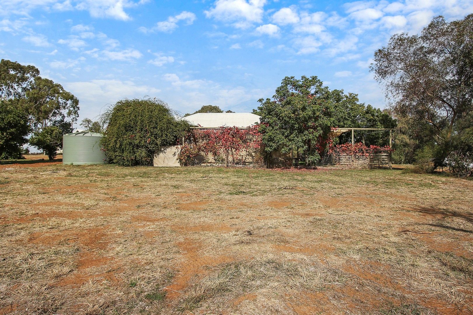 129 Bedggoods Road, Brocklesby NSW 2642, Image 0