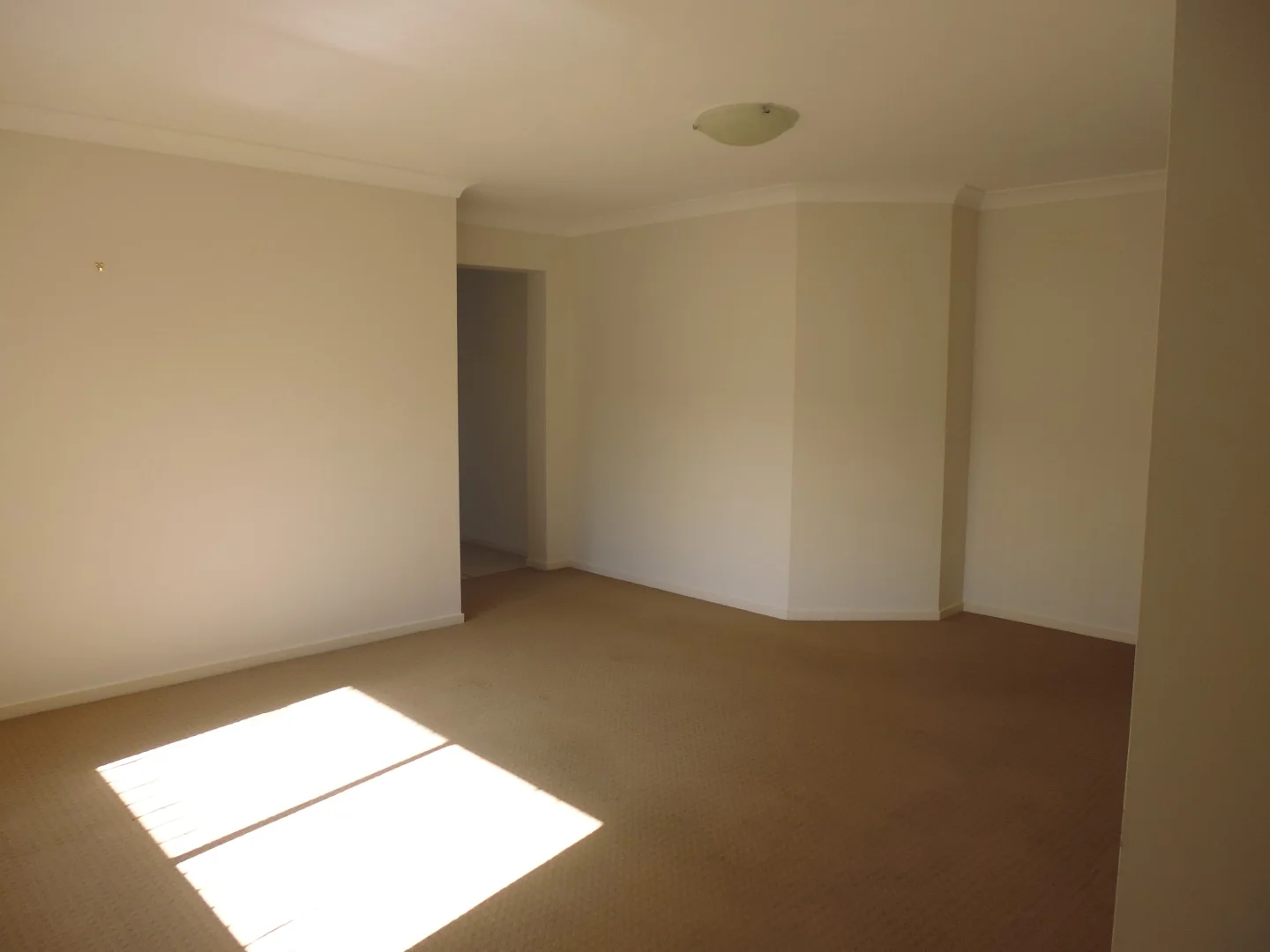 Additional image 8 of 19 Cleveland St, Cameron Park NSW 2285