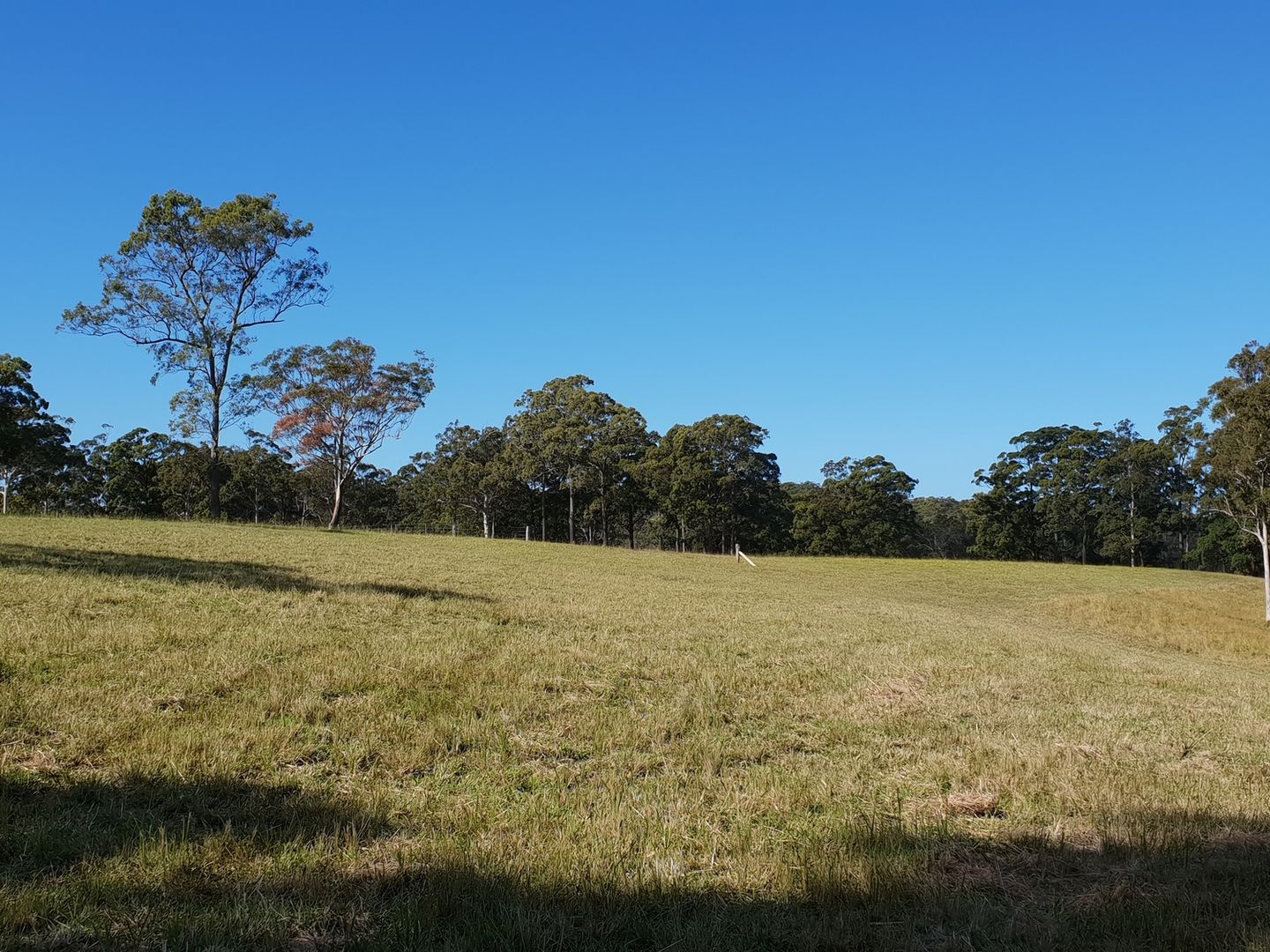 438 Blackhead Road, Black Head NSW 2430, Image 1