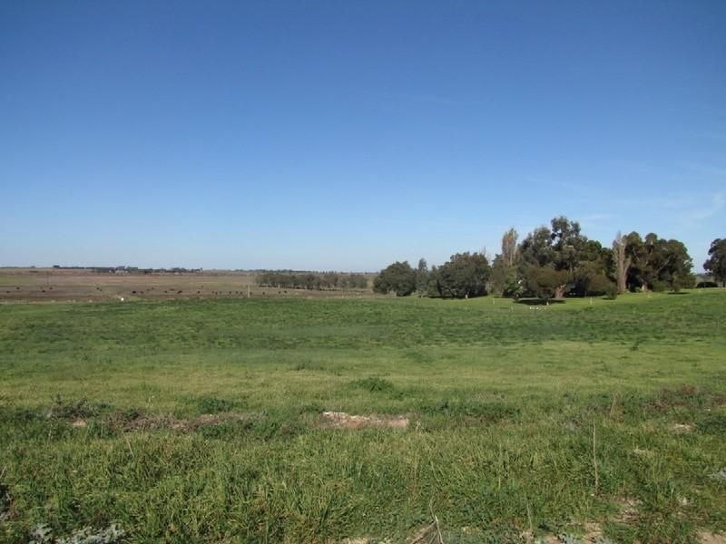 Lot 204 Jervois Wellington Rd, WELLINGTON SA 5259, Image 2