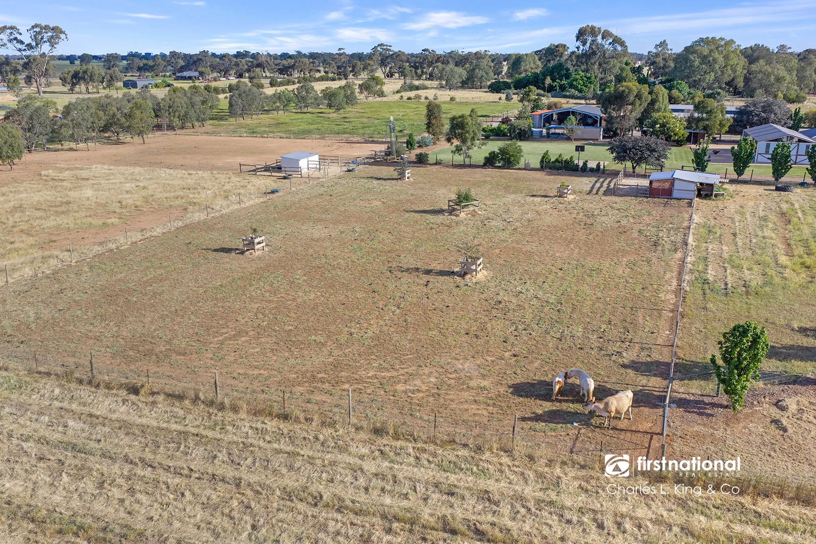 162 Tandarra Road, Moama NSW 2731 - House for Sale | Domain