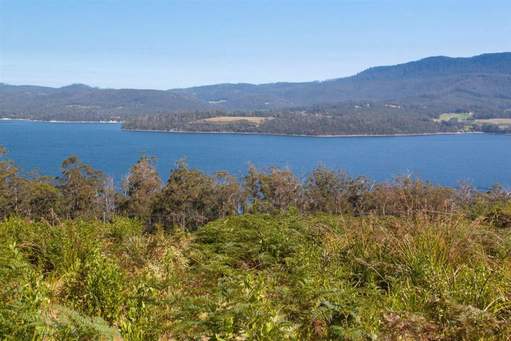 Lot 3 Cygnet Coast Road, Petcheys Bay TAS 7109, Image 1