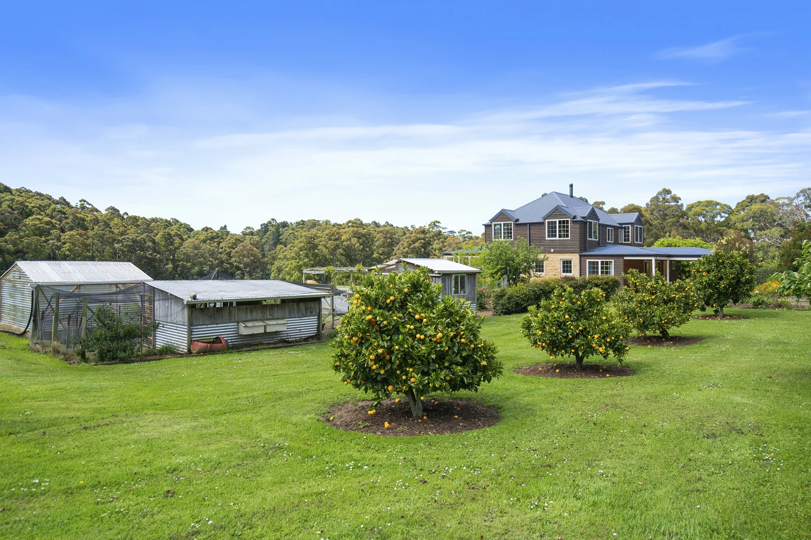 Additional image 31 of 164 Saddle Road, Kettering TAS 7155