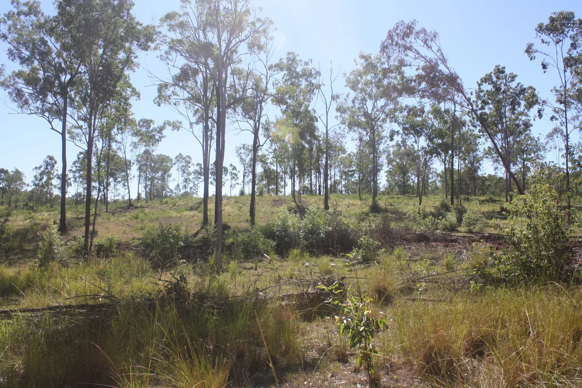 Image 14