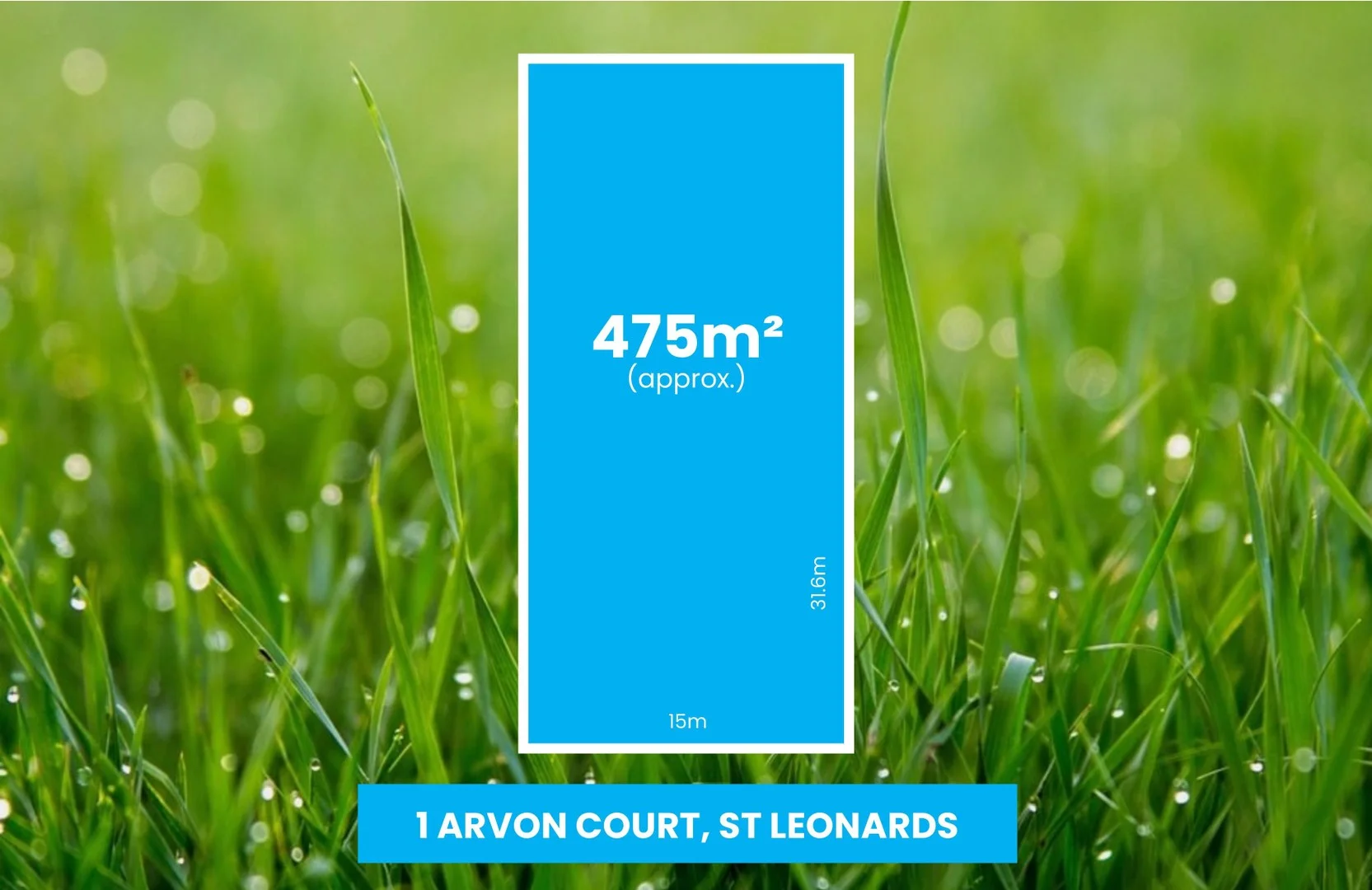 1 Arvon Court, St Leonards VIC 3223