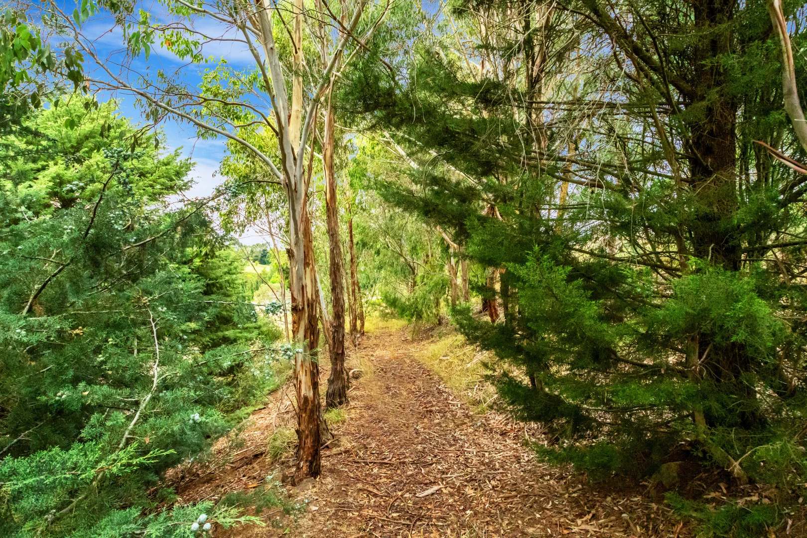 Additional image 15 of Lot 2/56 Simpson Street, Ballan VIC 3342