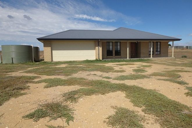 Picture of 51 Bluebush Crt, MURRAY BRIDGE SOUTH SA 5253