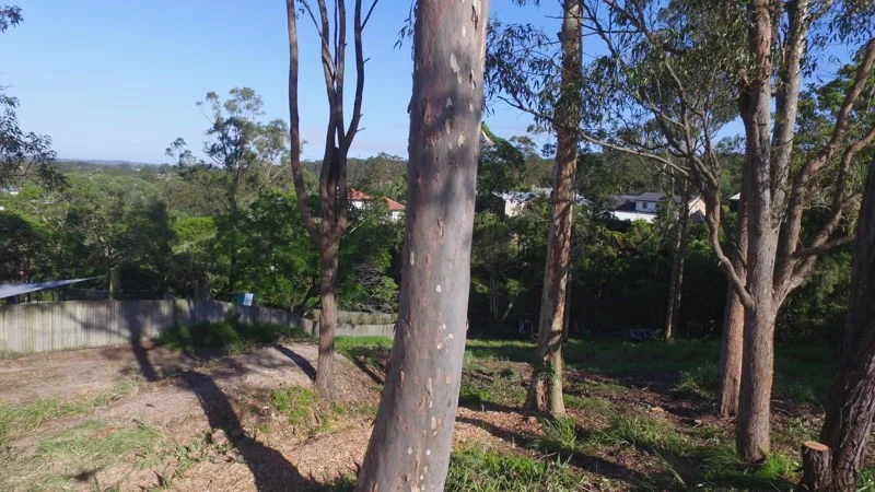 Image 13