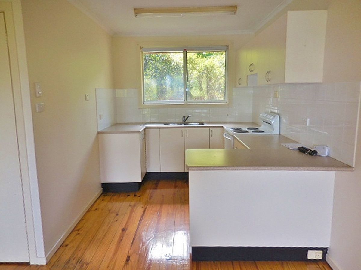 1/32 Ewing Street, Lismore NSW 2480 Apartment For Rent Domain