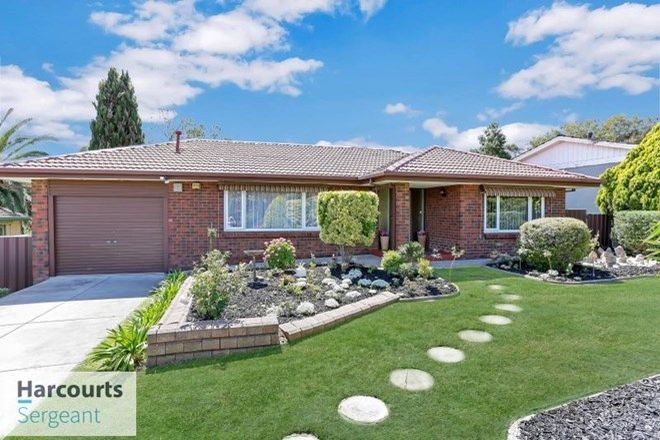 Picture of 8 Maughan Avenue, REDWOOD PARK SA 5097