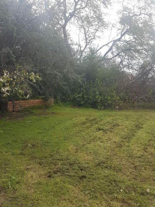 3 bedrooms House in 5 Palmyra Ave TORRENSVILLE SA, 5031