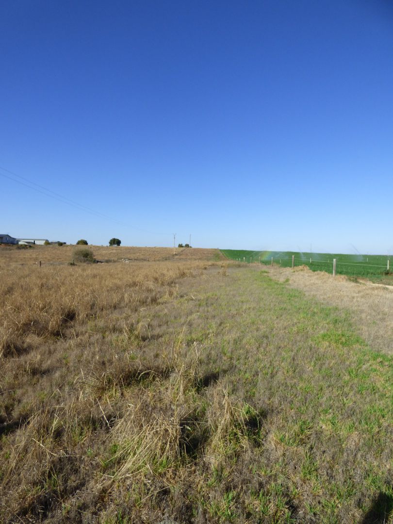 Lot 358 Jervois Road, Woods Point SA 5253, Image 2