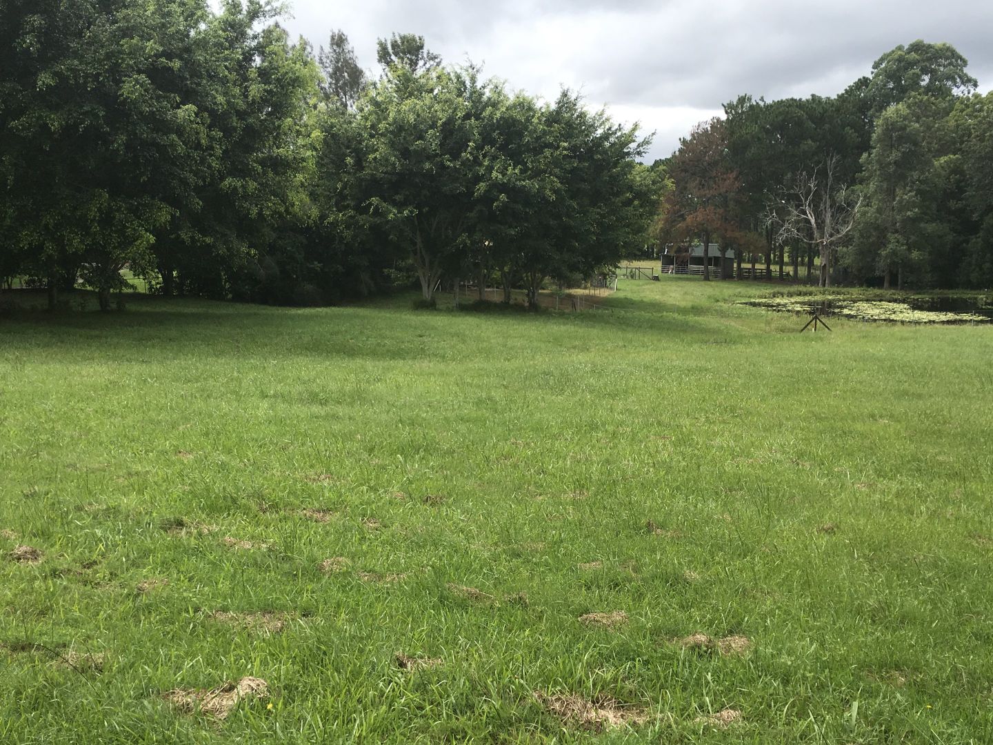 Proposed Lot 9 Glenview Road, Glenview QLD 4553, Image 2