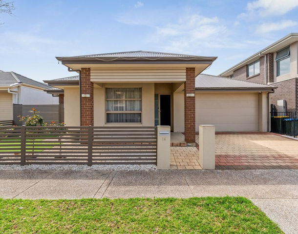 14 Piccadilly Way, Lightsview SA 5085