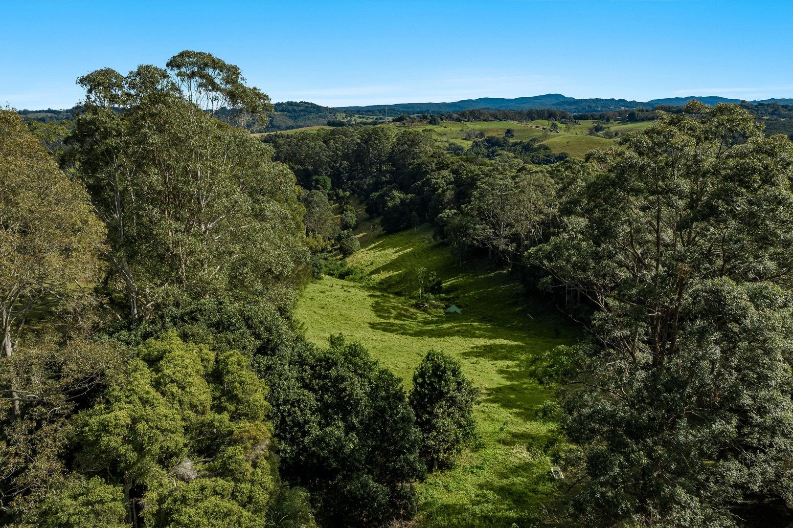 222 Friday Hut Road, Possum Creek NSW 2479, Image 0