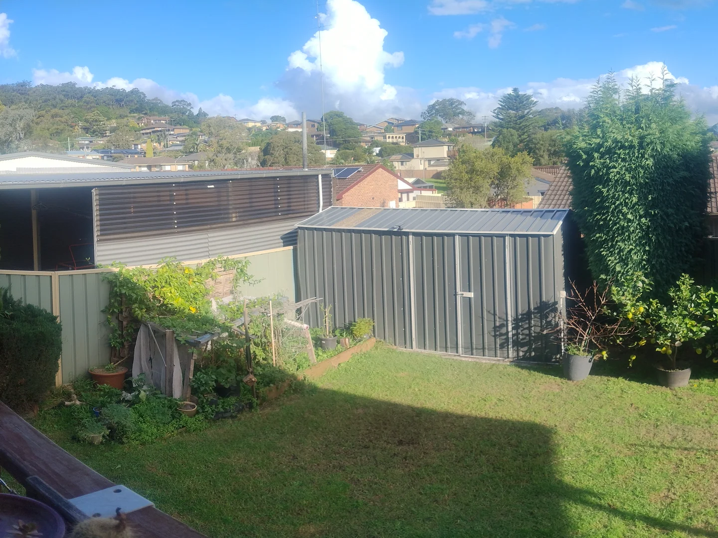 Image 10