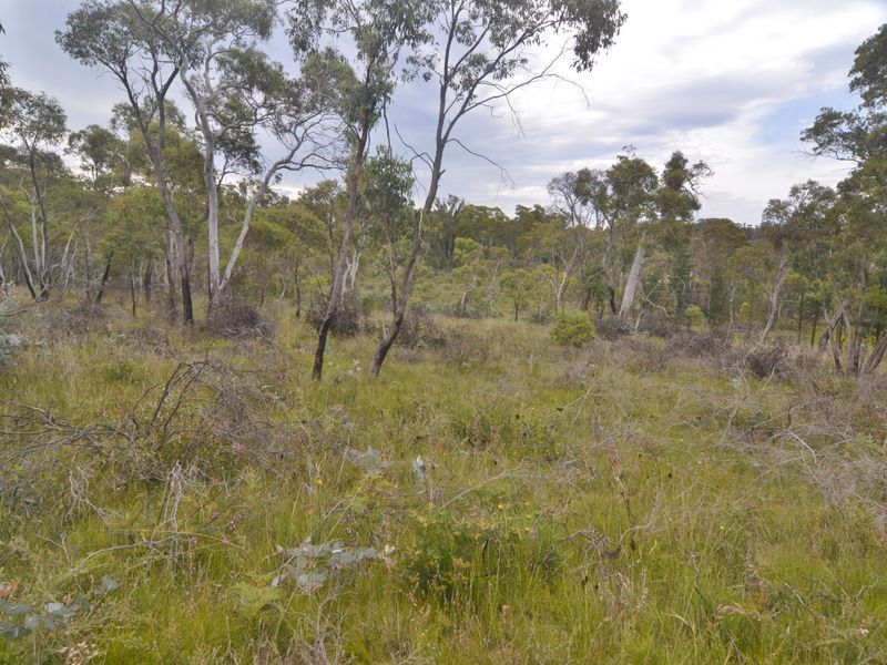 Lot 3 & Lo Chifley Road, Clarence NSW 2790, Image 1