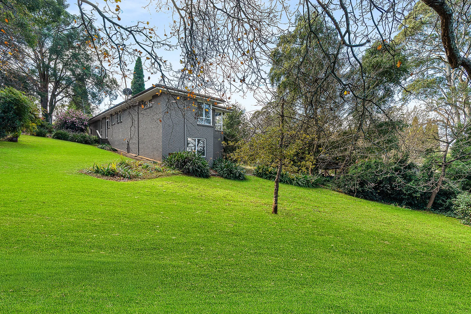 Image 15