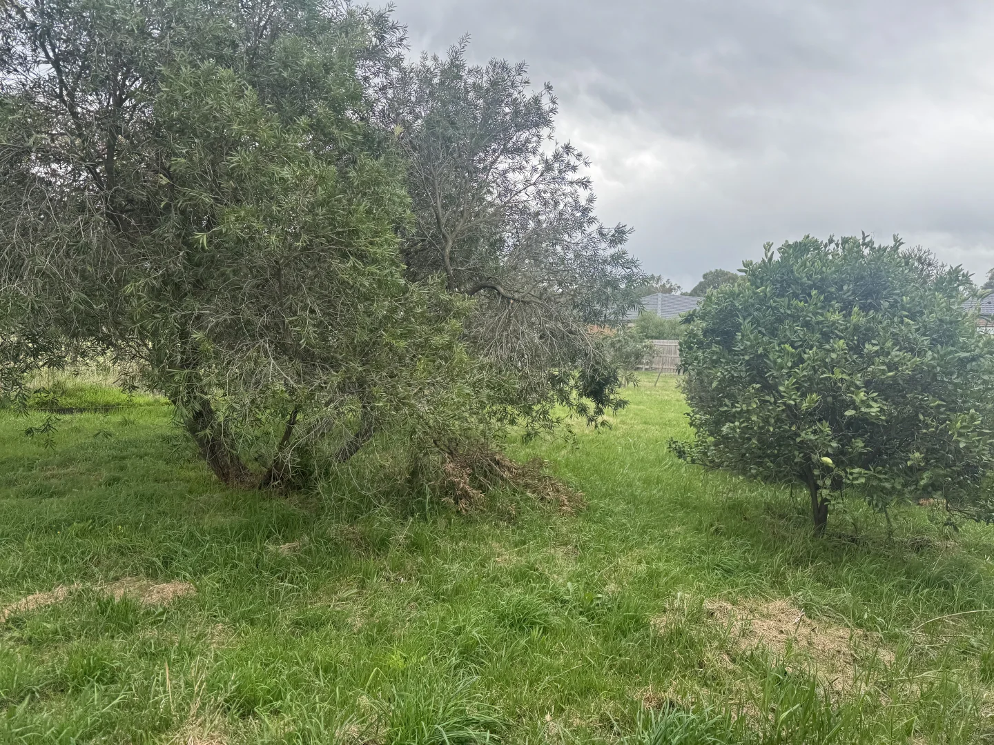 Additional image 28 of 147 King Street, Wallan VIC 3756