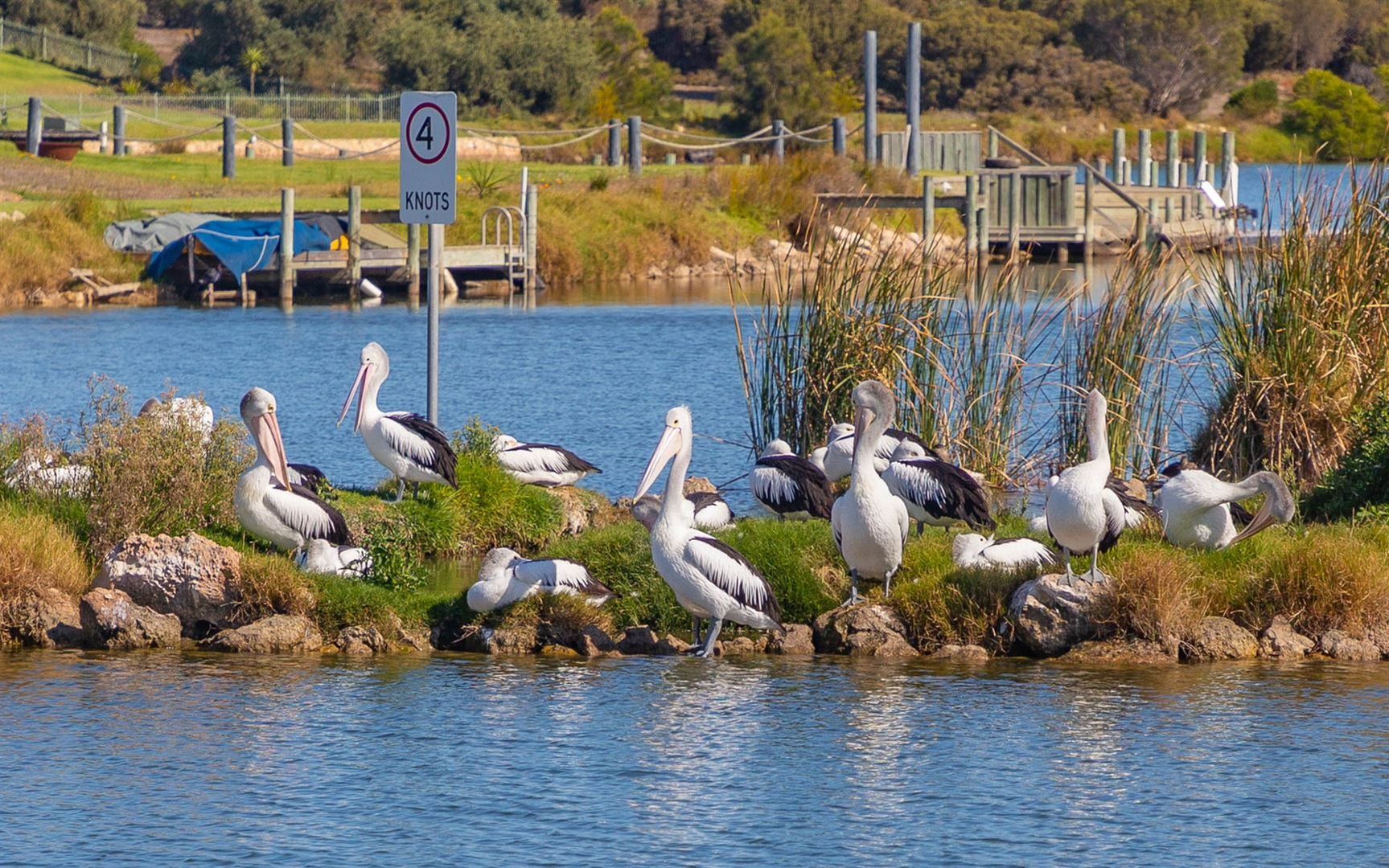 101 Wentworth Parade, Hindmarsh Island SA 5214, Image 2