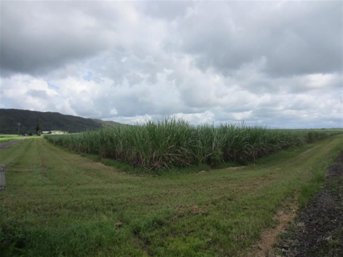 South Johnstone QLD 4859 Specialist Farm for Sale 1,500,000