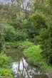 Image 24