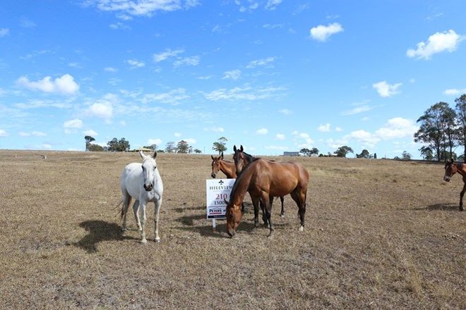 Picture of Lot 210 Hillview, LOUTH PARK NSW 2320