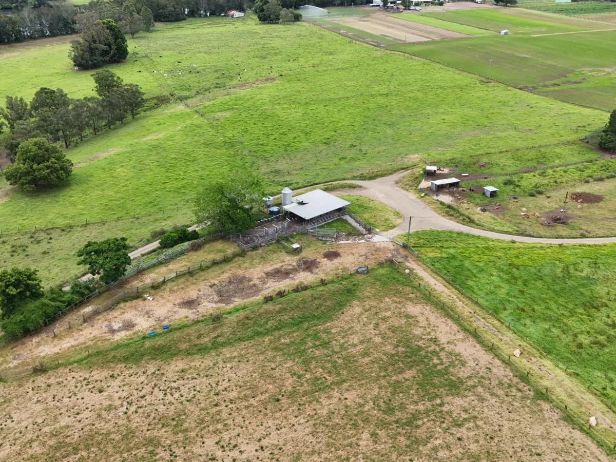 Image 12