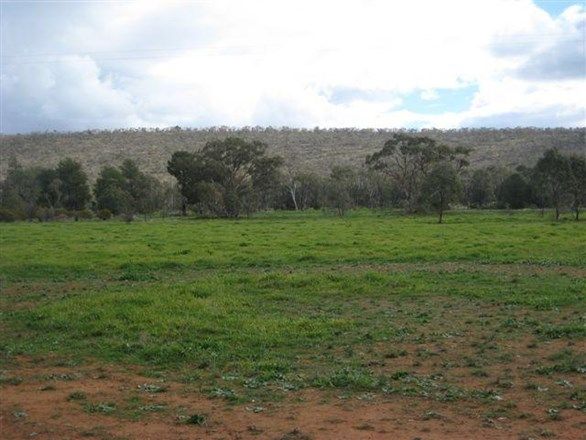 Lot 2 Rankins Springs Road, BEELBANGERA NSW 2680, Image 2