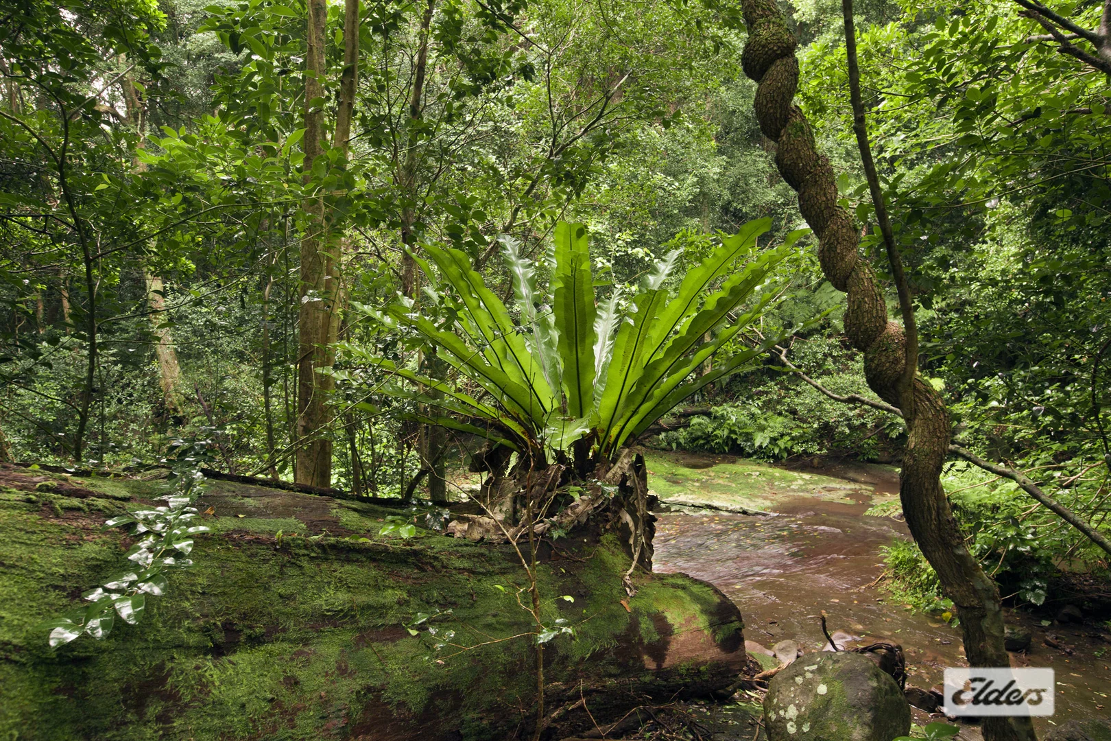 Additional image 10 of 411 Jamberoo Mountain Road, Jamberoo NSW 2533