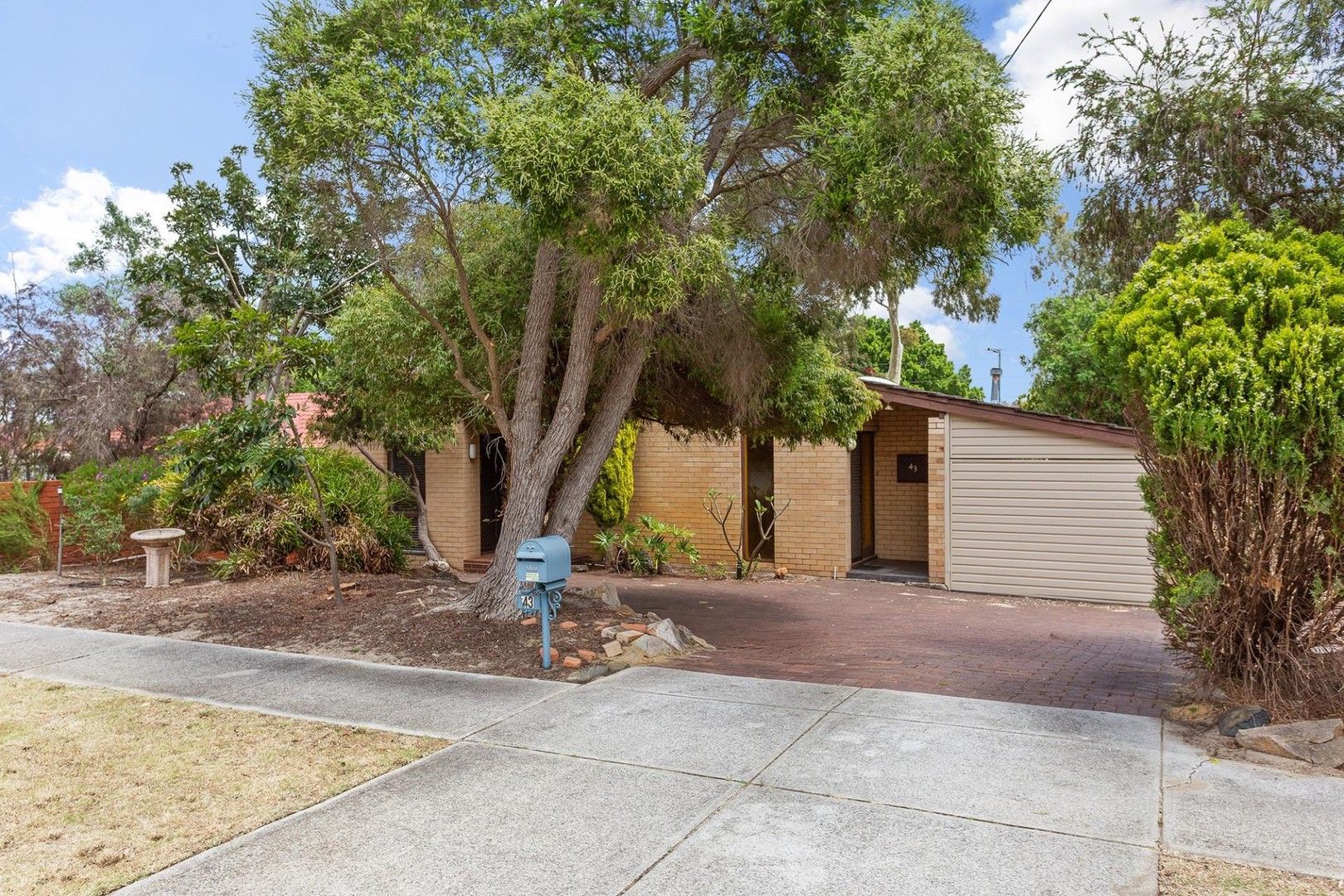 3 bedrooms House in 43 Jervois Street DIANELLA WA, 6059