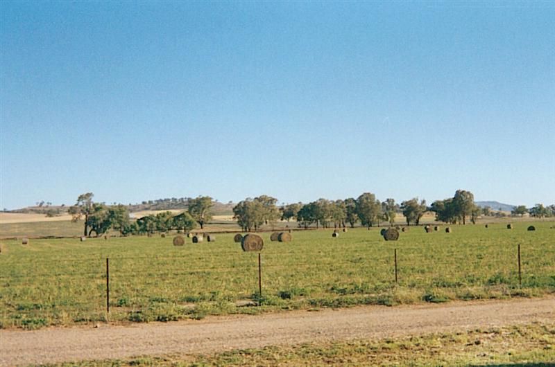 Glandore Woolshed, Bowna NSW 2644, Image 0