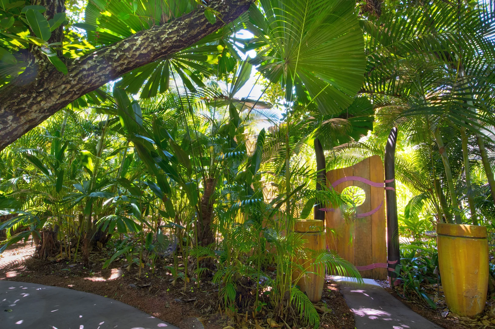 Image 38