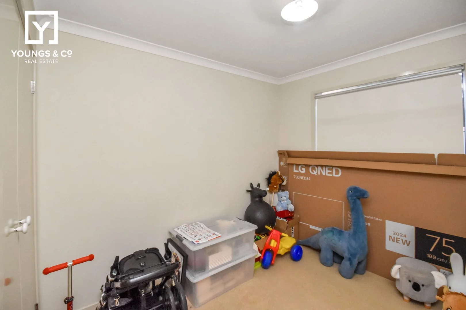 Image 6