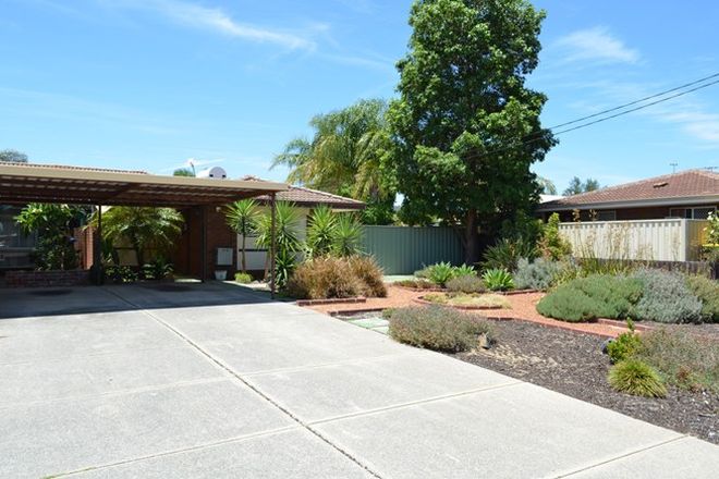 Picture of 31A Hibiscus Road, MADDINGTON WA 6109