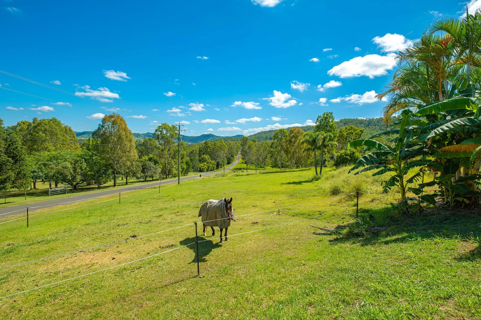 Additional image 2 of 62 Wyuna Drive, Glastonbury QLD 4570
