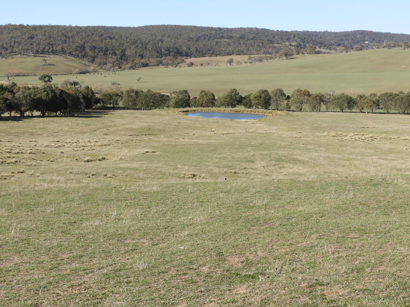 Lot 2 Off Laggan Taralga Road, Laggan NSW 2583, Image 2